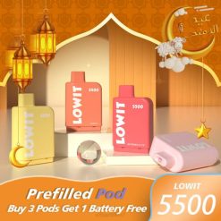 ELFBAR LOWIT 5500 предварително напълнена капсула | 828D374 Elf Bar Вейп боровинков лед